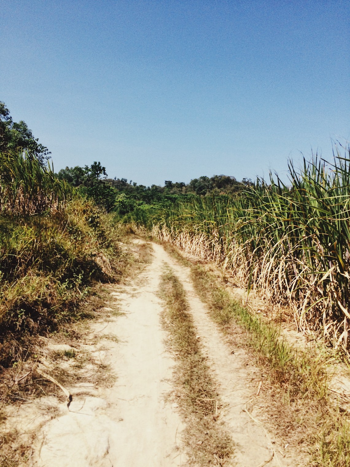 Processed with VSCO with av4 preset