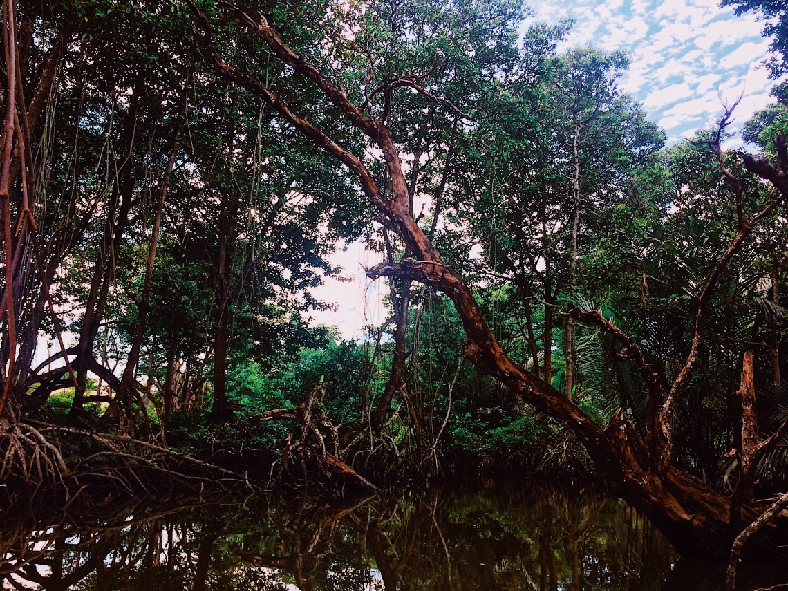 Processed with VSCO with au5 preset