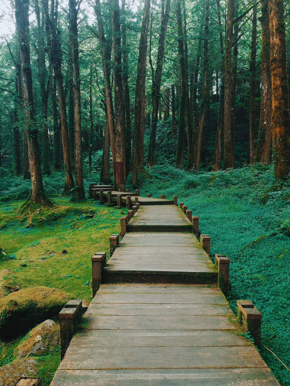 Processed with VSCO with c8 preset