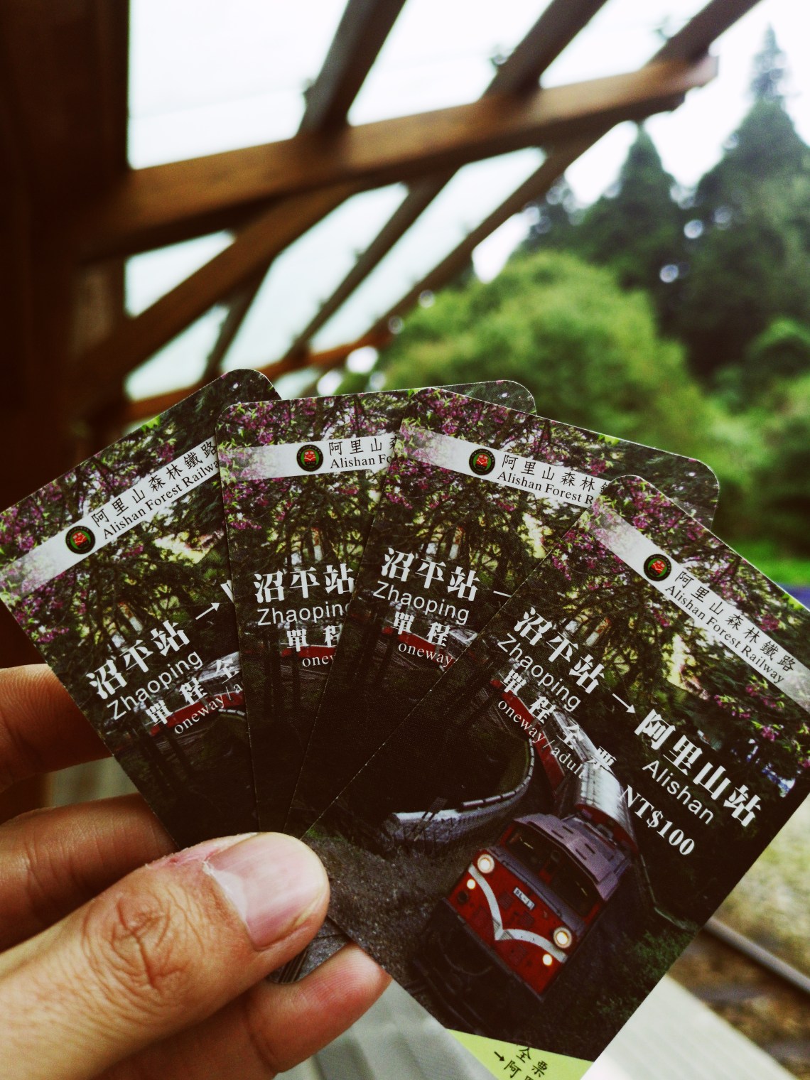 Processed with VSCO with fp2 preset