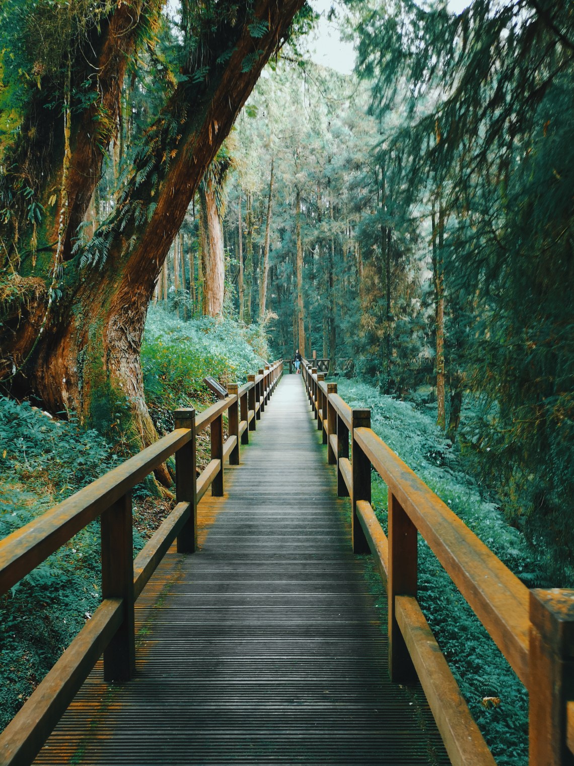 2018-10-25 09.38.38 1.jpg