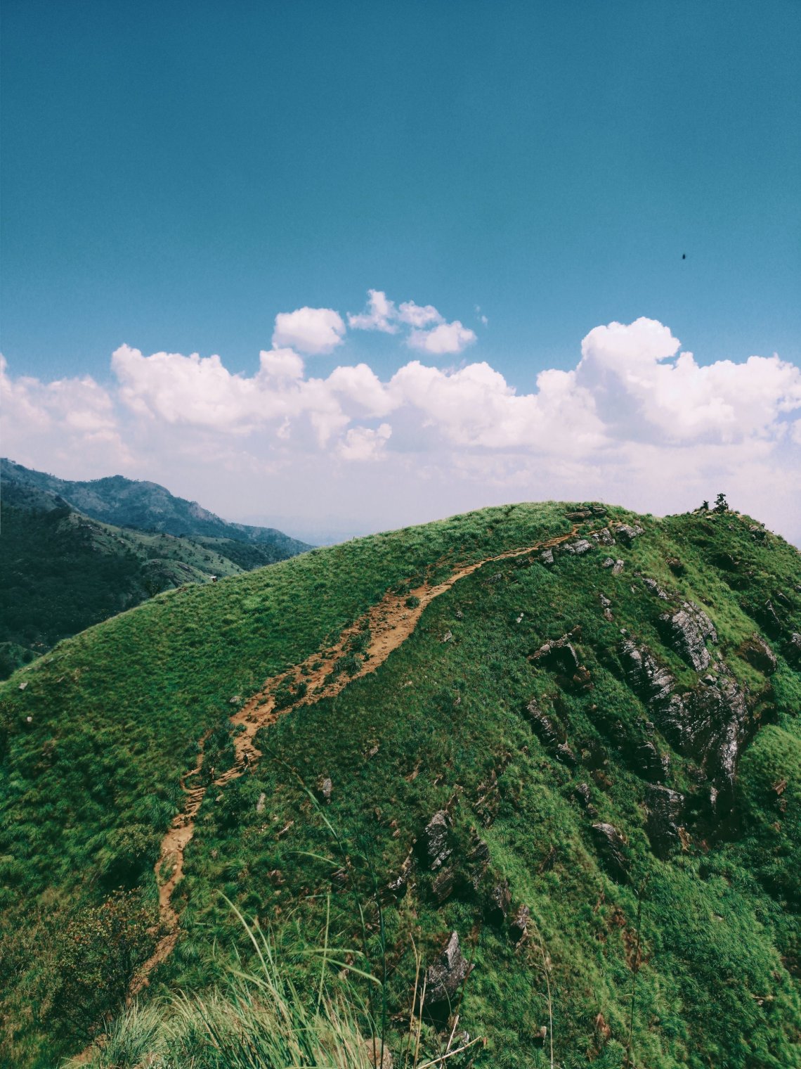 2019-03-24 07570244449633783865..jpg