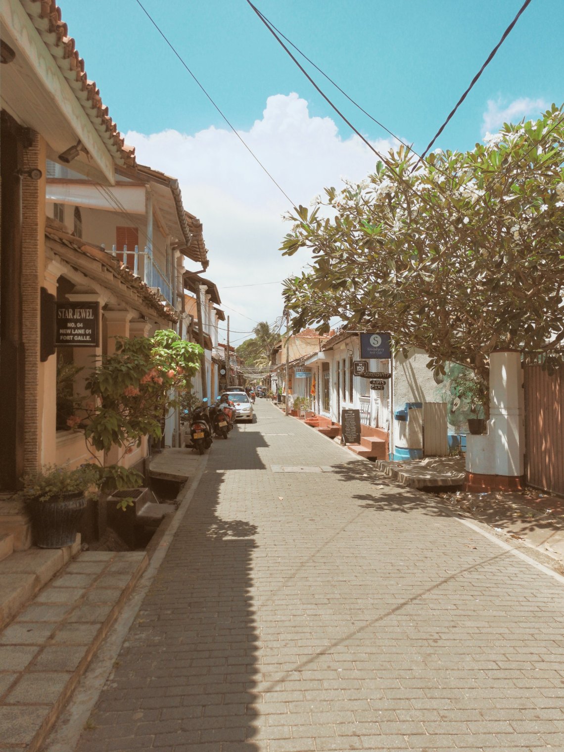 2019-03-25 082700406900913595846..jpg