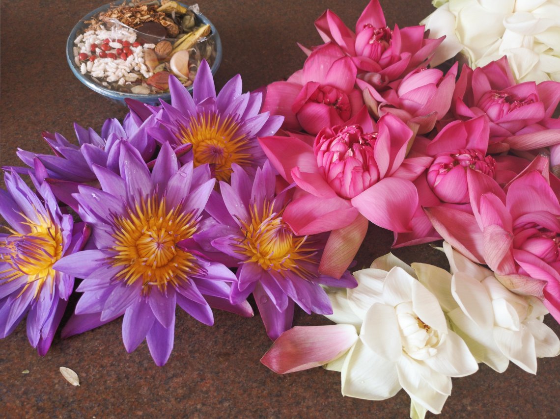 2019-03-26 01166133249434144952..jpg