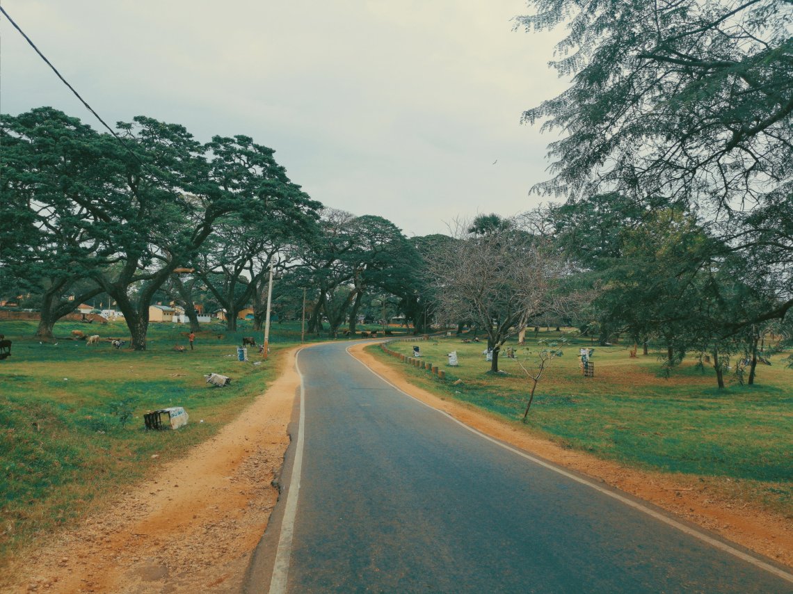 2019-03-26 015790087426271423083..jpg