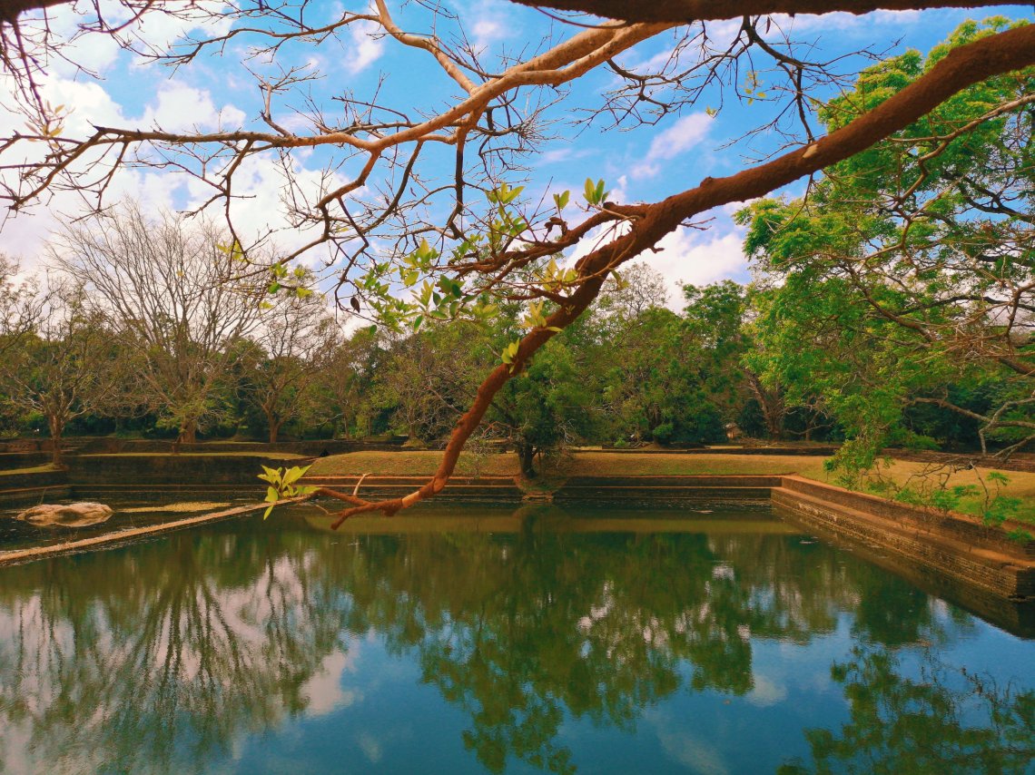 2019-03-26 091240249921314340176..jpg