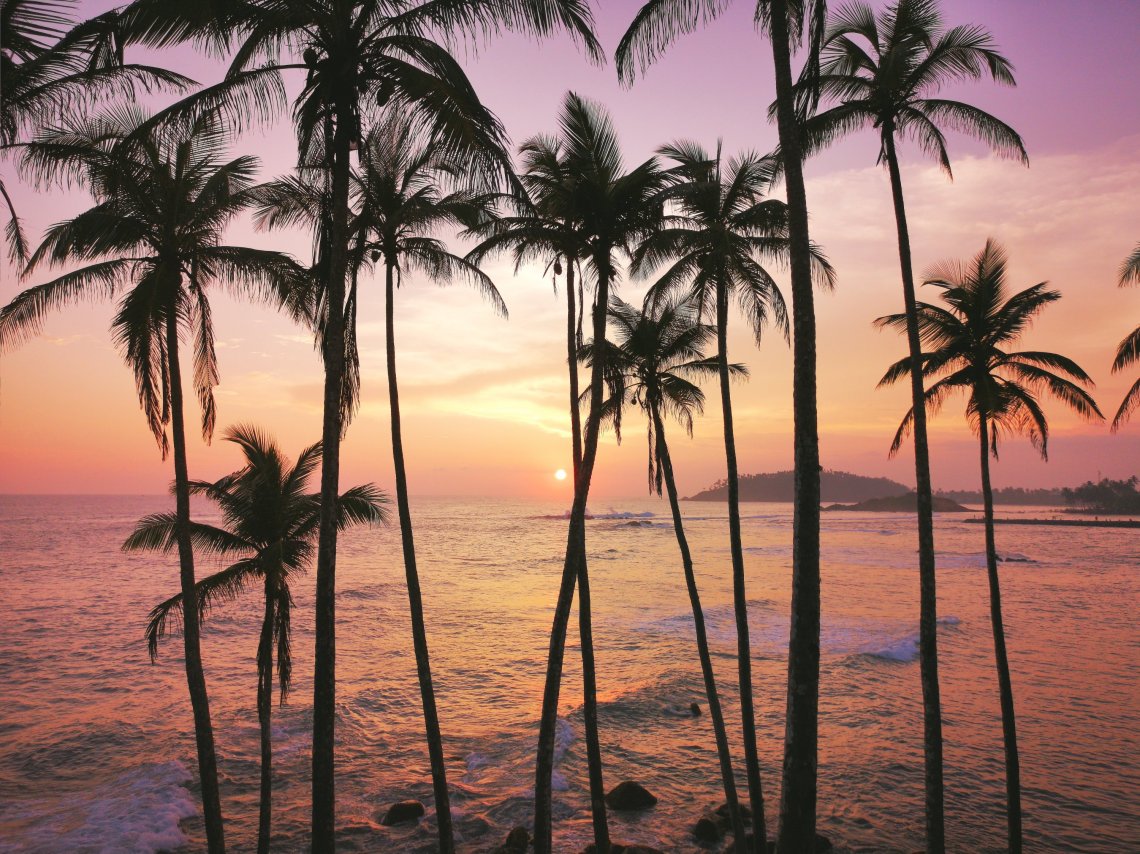 2019-03-26 091775709809654782554..jpg