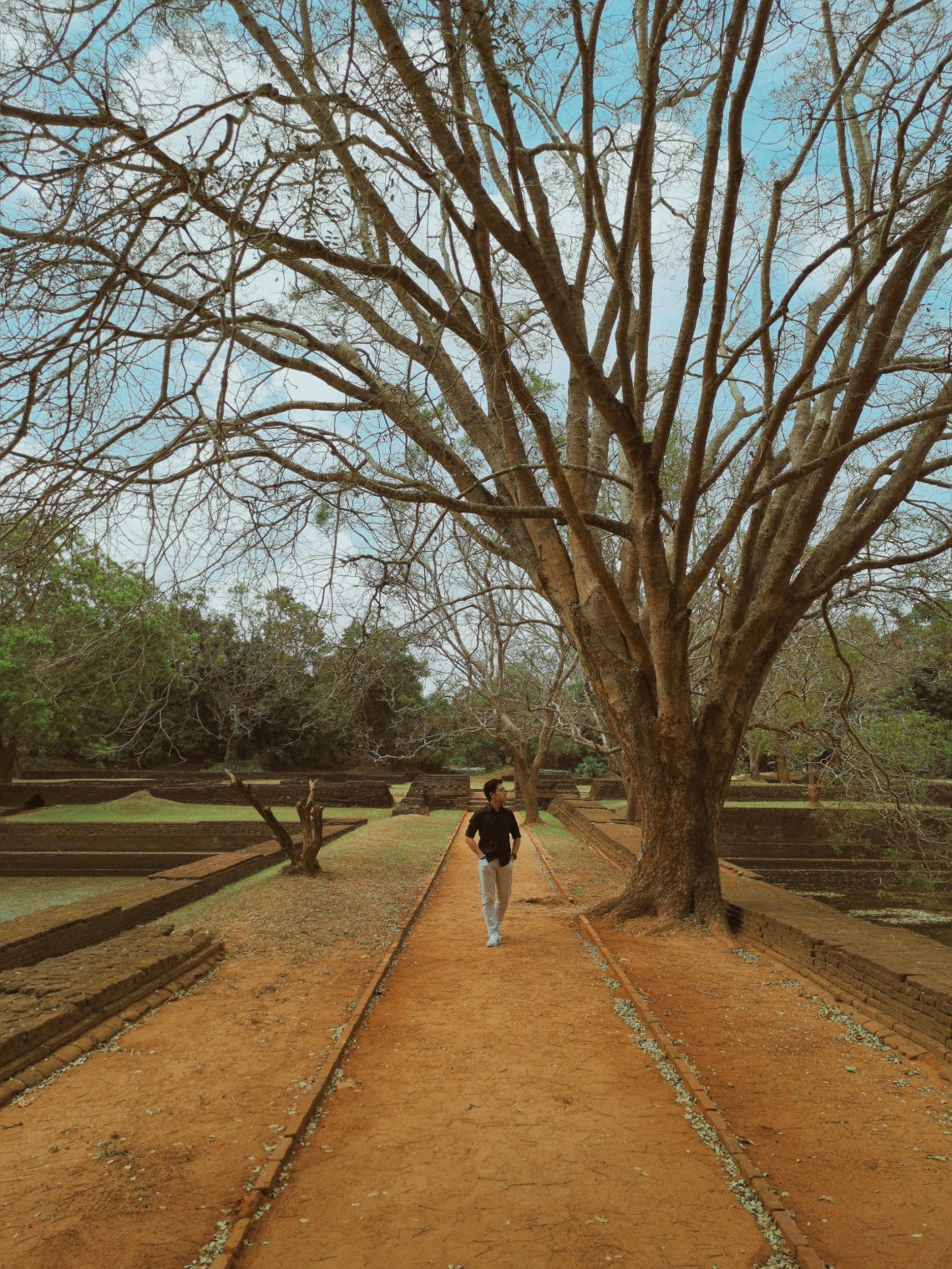 2019-03-26 092305664167488945883..jpg