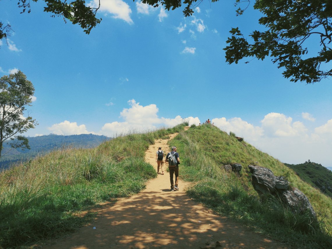 2019-03-26 096016979760596392157..jpg