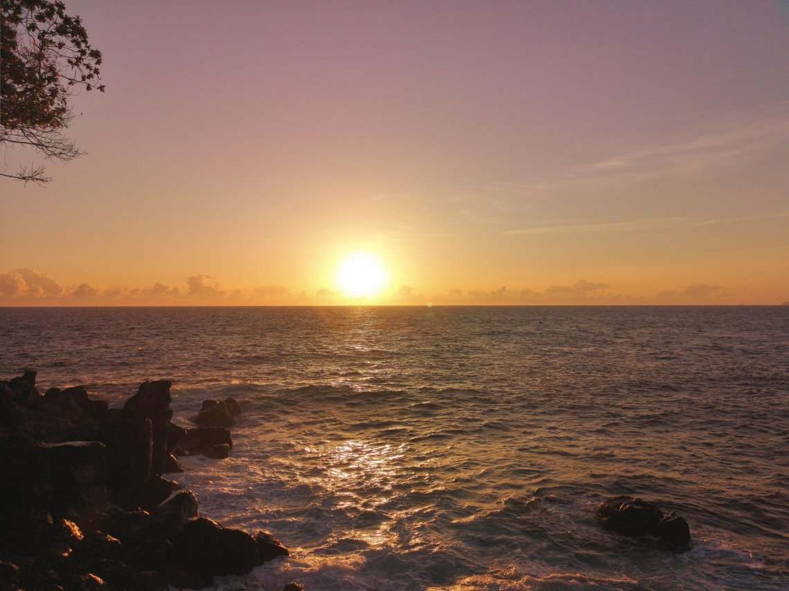 2019-07-01 081323809049923256815..jpg