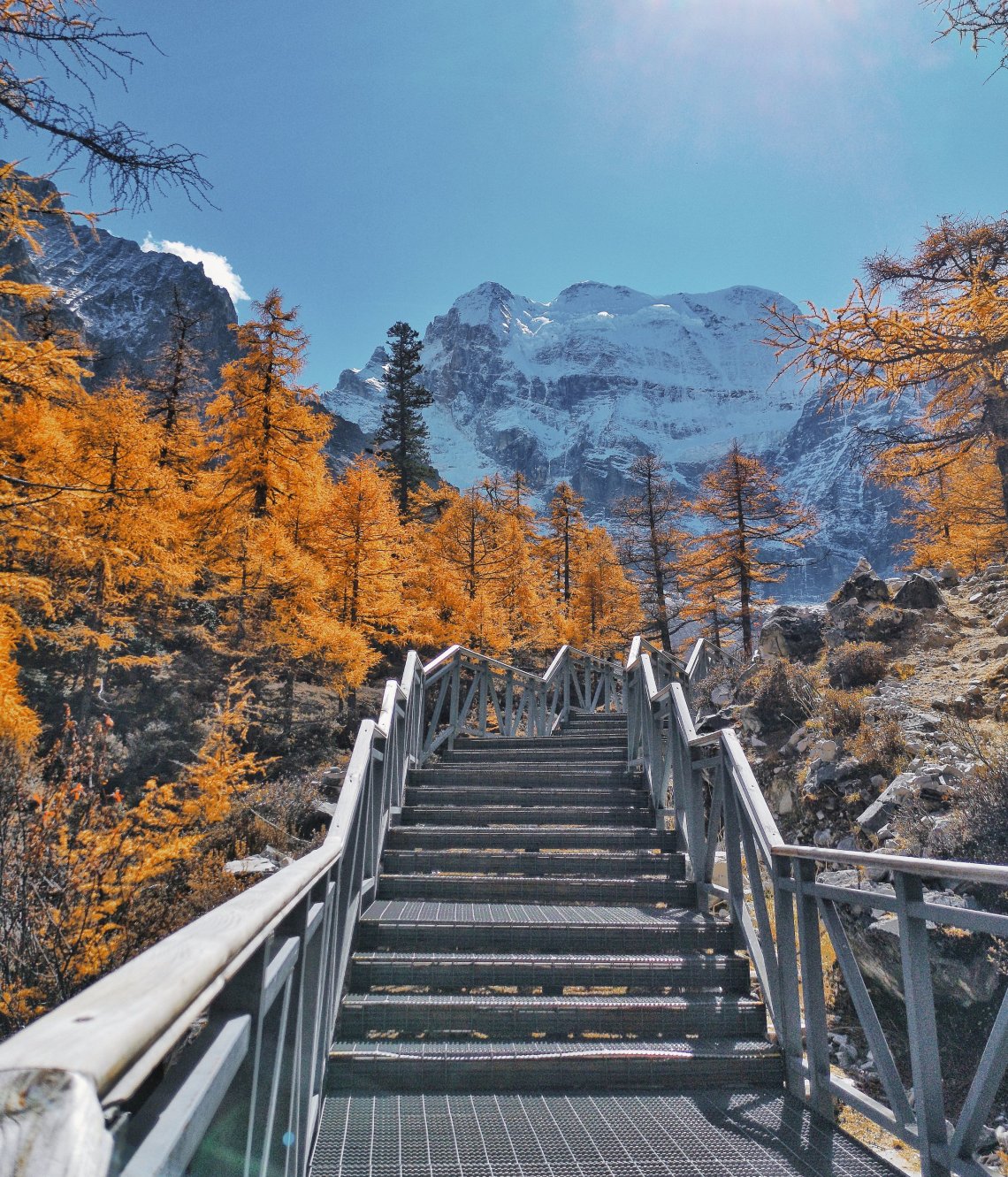 2019-11-06 035741370275496930694..jpg