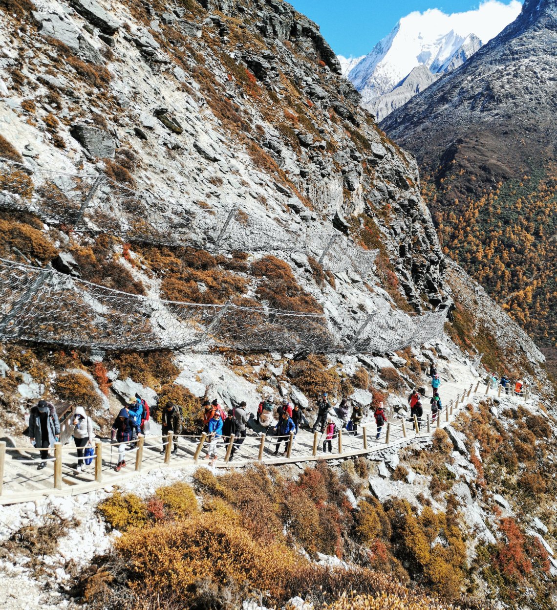 2019-11-06 048549001593405258495..jpg