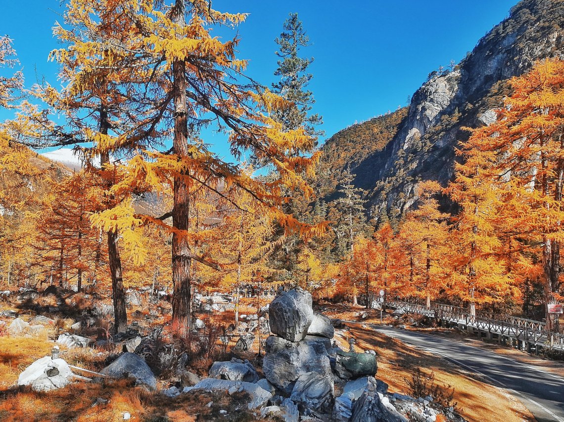 2019-11-06 115843687779795118093..jpg