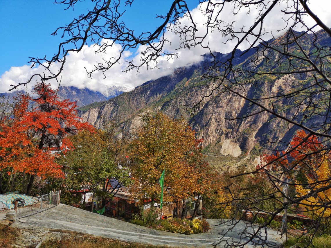 2019-11-09 113583436501441850017..jpg