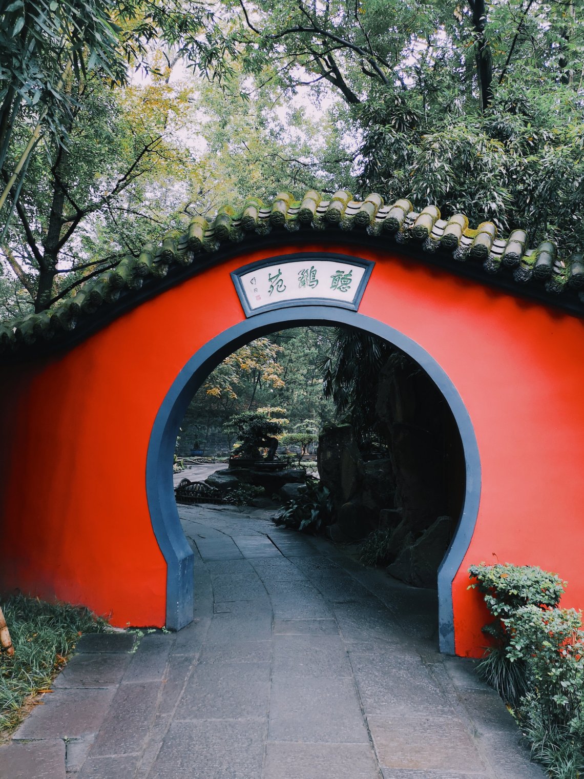 2019-11-11 101171793451414863775..jpg