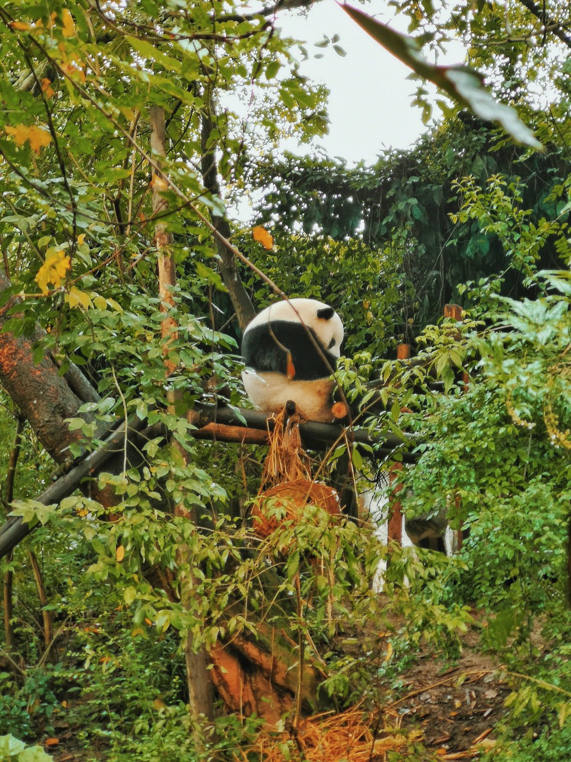 2019-11-12 081820726028990559563..jpg