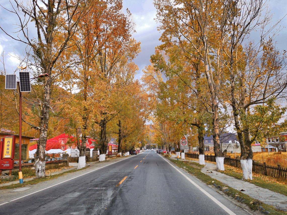 2019-11-13 01.37.36 2 (1).jpg