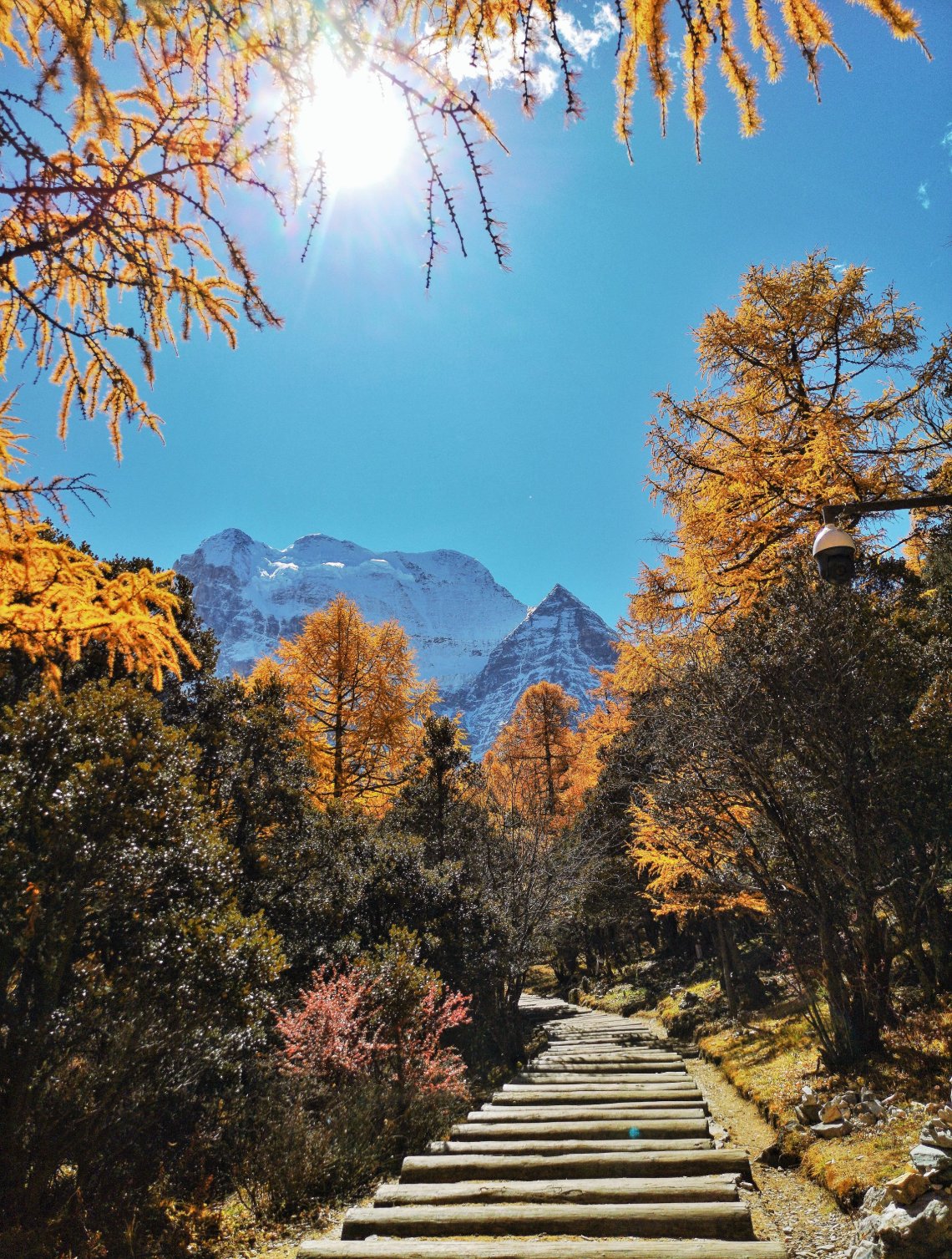 2019-11-27 104469056030237919022..jpg