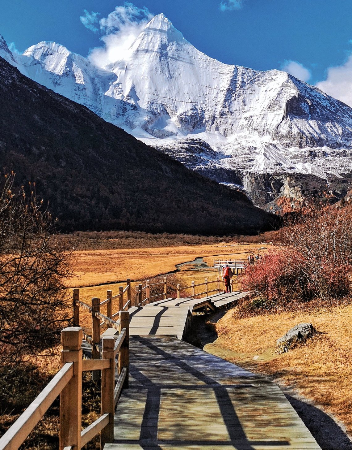 2019-11-27 11399511135355626479..jpg