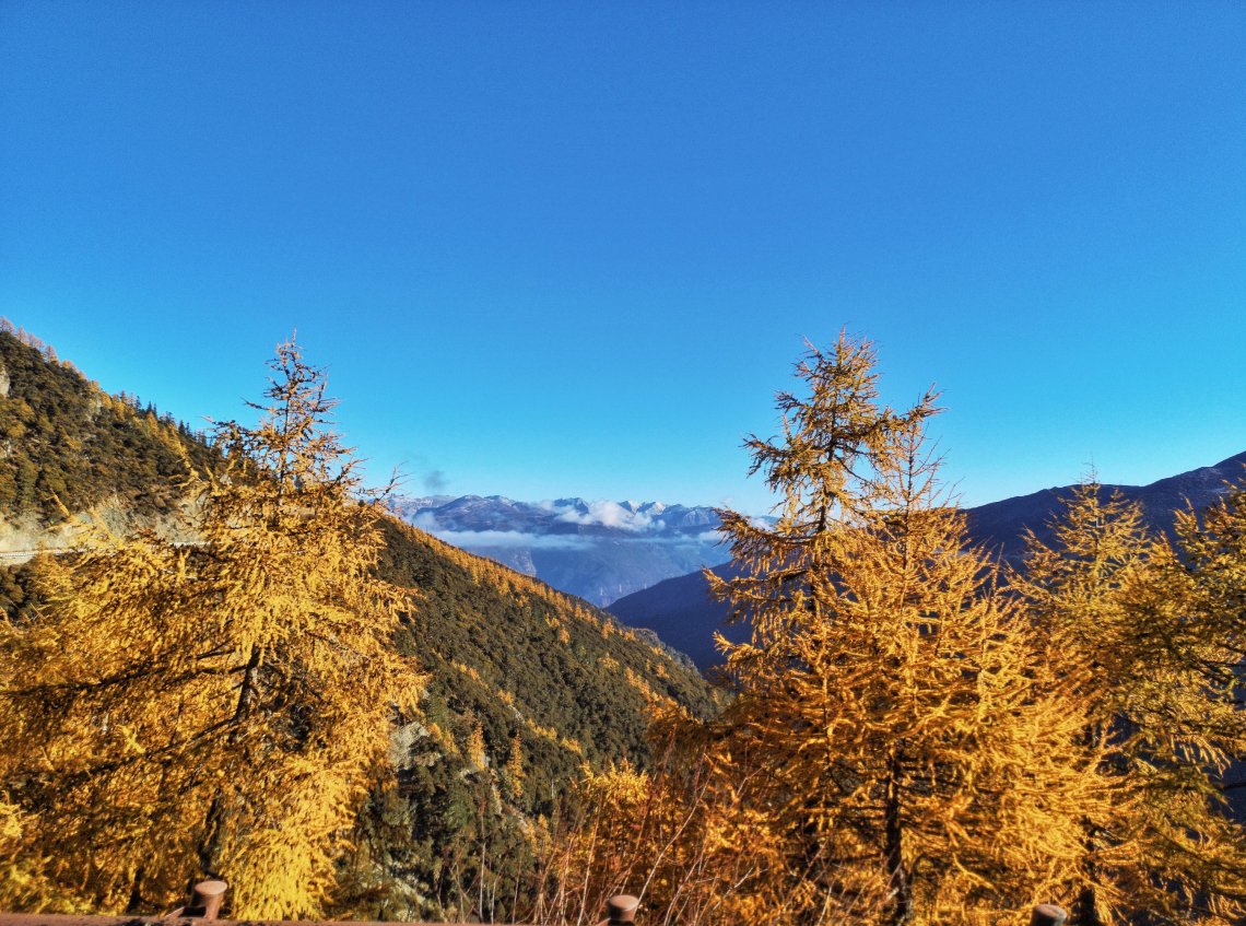 2019-11-27 11510301922865365144..jpg