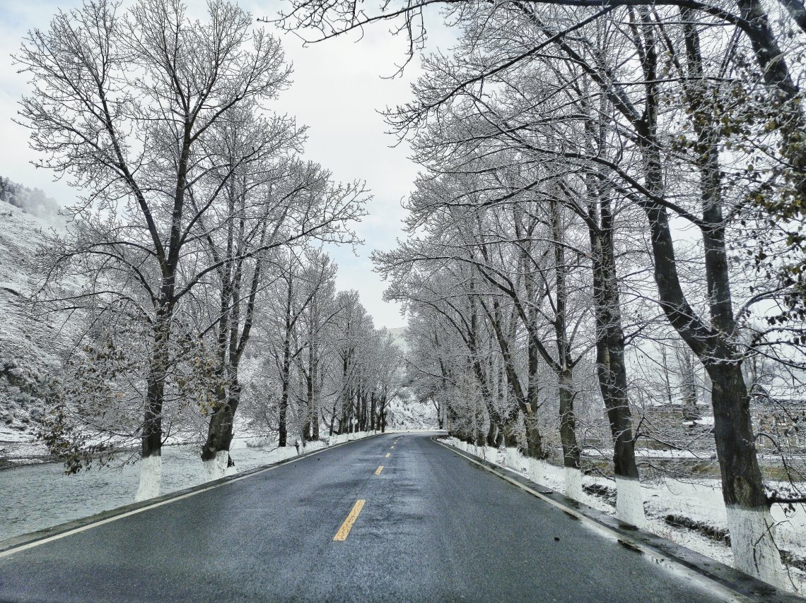 2019-11-28 016825265827112436970..jpg