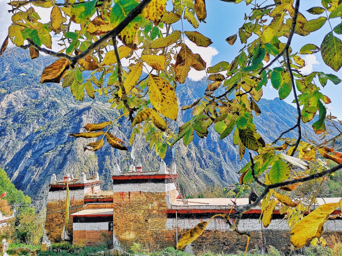 2019-11-29 093823971027784612965..jpg