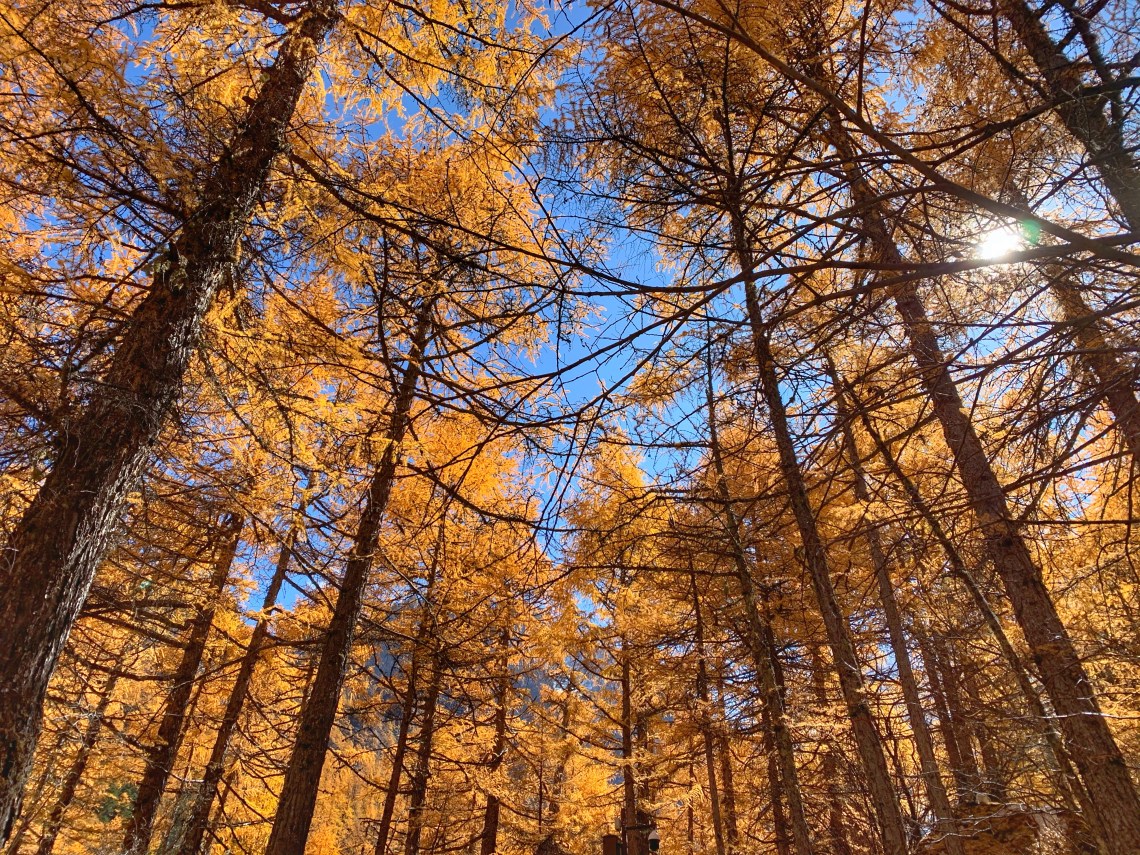 2019_10_28_12_50_IMG_2858 (1).JPG